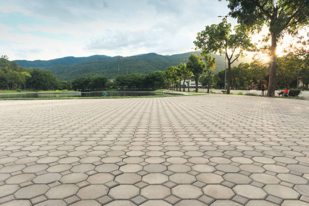 Best Professional Driveway Pavers  in Haymarket, VA